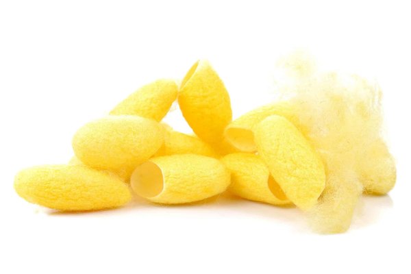 Les bienfaits inattendus d'une couverture doudou dans votre intérieur